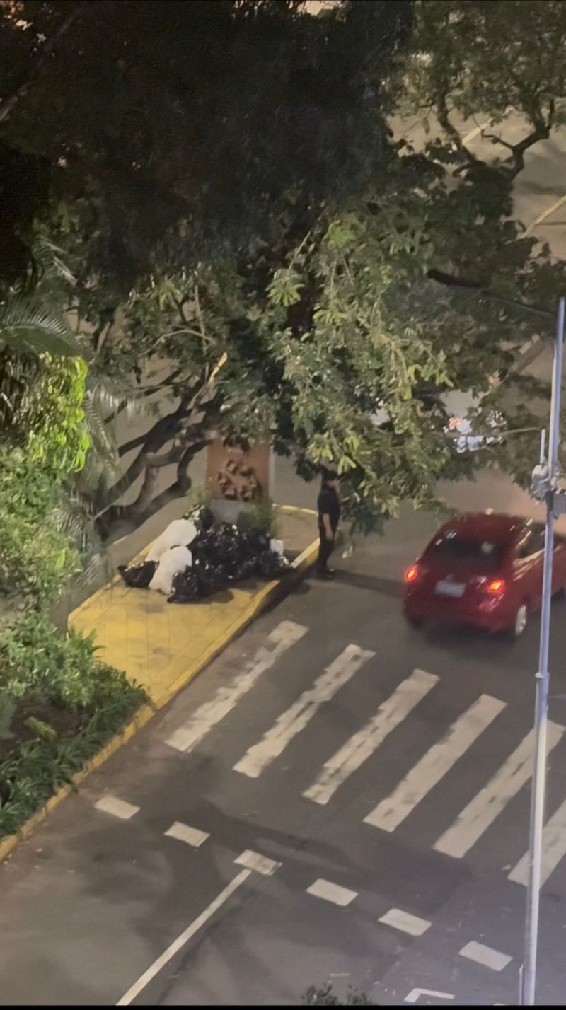 Infestación de ratas en la República del Salvador, Quito