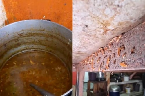 Arcsa clausura local de caldo de salchicha infestada de cucarachas en Guayaquil