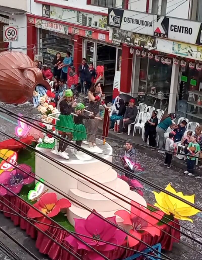 La Viuda de Verde.