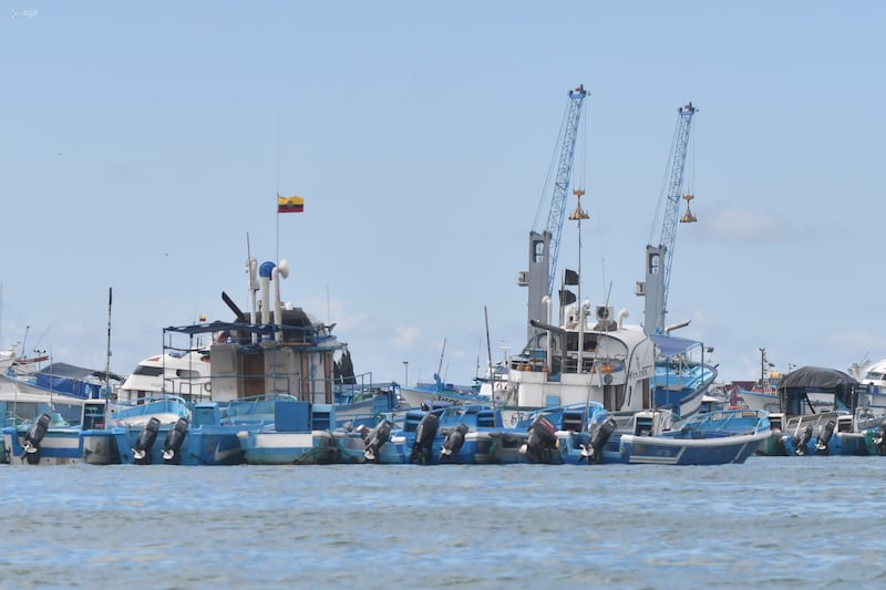 MANTA-PUERTO-BASE