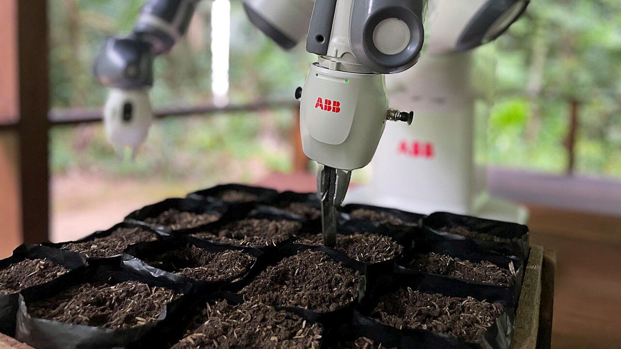 Robot YuMi ayuda a reforestar el Amazonas