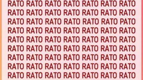 Pato está escondida.