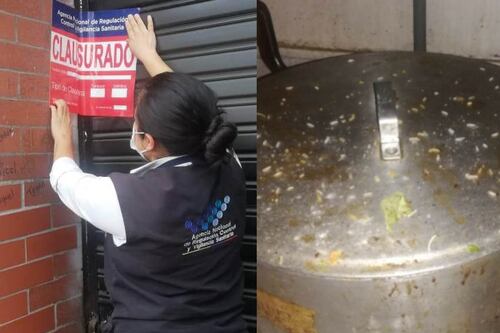 Reporta restaurantes insalubres como falta de higiene o plagas en Ecuador de esta manera