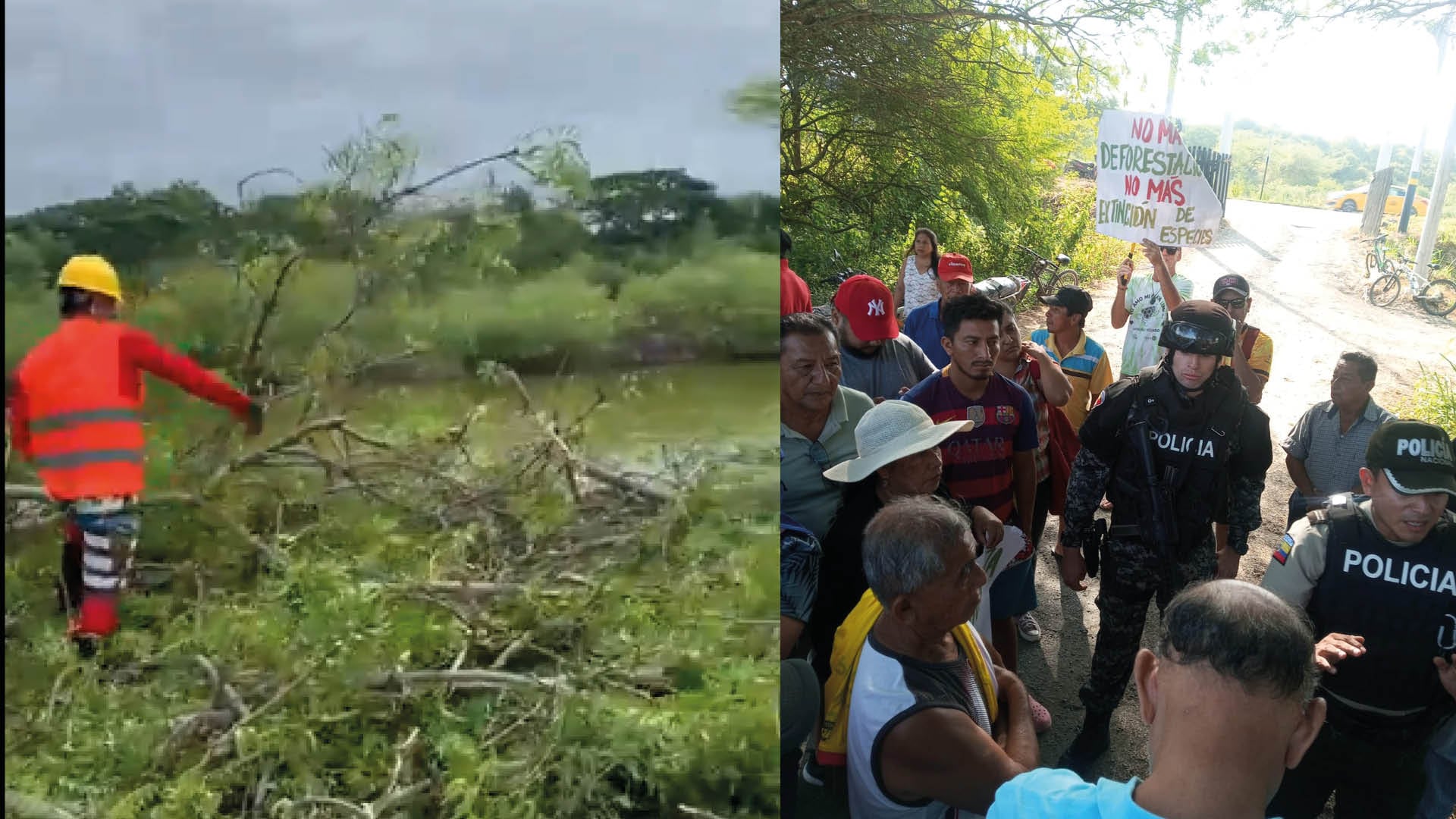 Denuncian "ecocidio" en proyecto inmobiliario en Olón vinculado a empresa de Lavinia Valbonesi