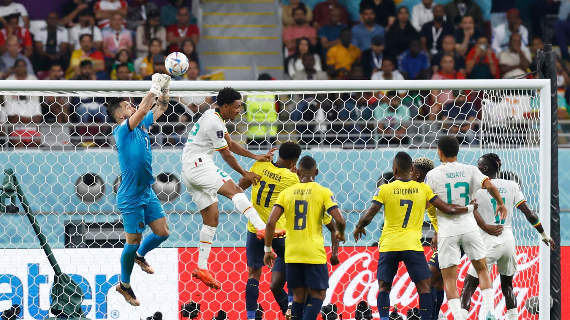 Ecuador vs. Senegal