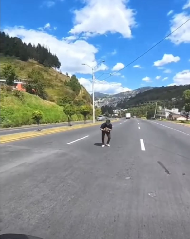 Agente de la AMT y joven rescataron a un gato abandonado en la Autopista General Rumiñahui
