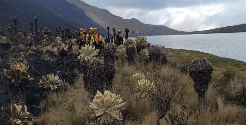 Incendio en la reserva El Ángel