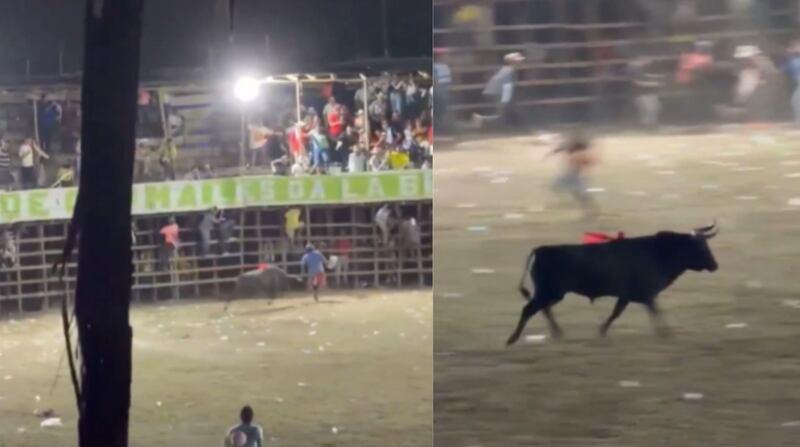 Ubaldo Montalvo Lozano, alias ‘El Topo’, falleció tras ser embestido por un toro