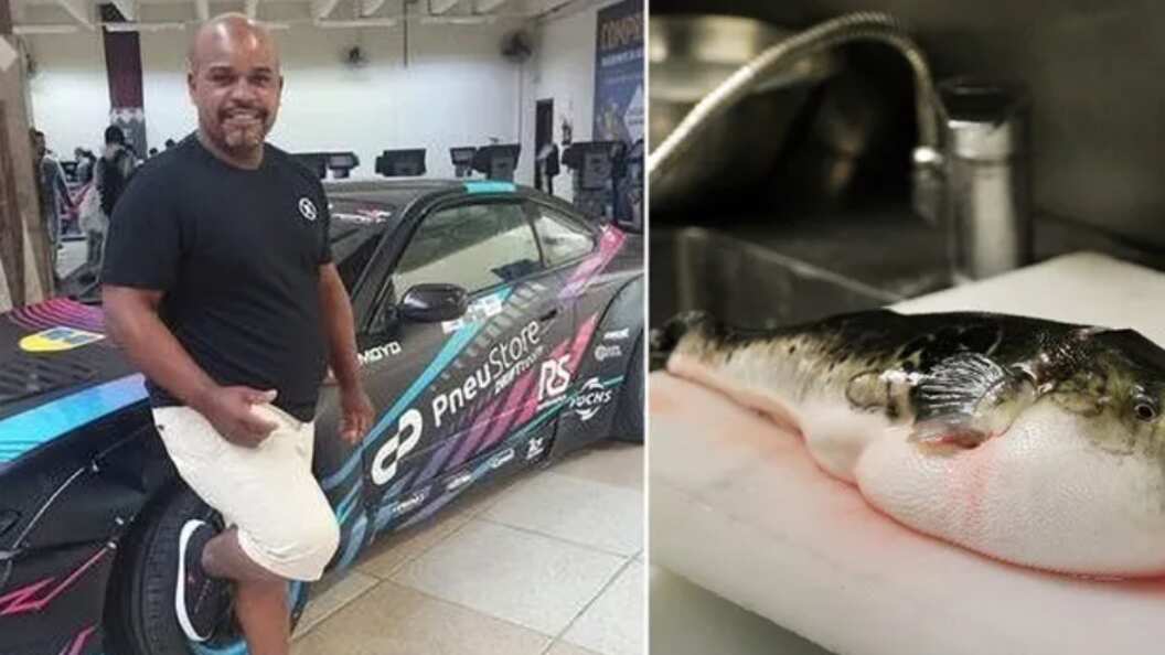 Hombre murió tras haber después de cocinar y comer un pez globo altamente venenoso.