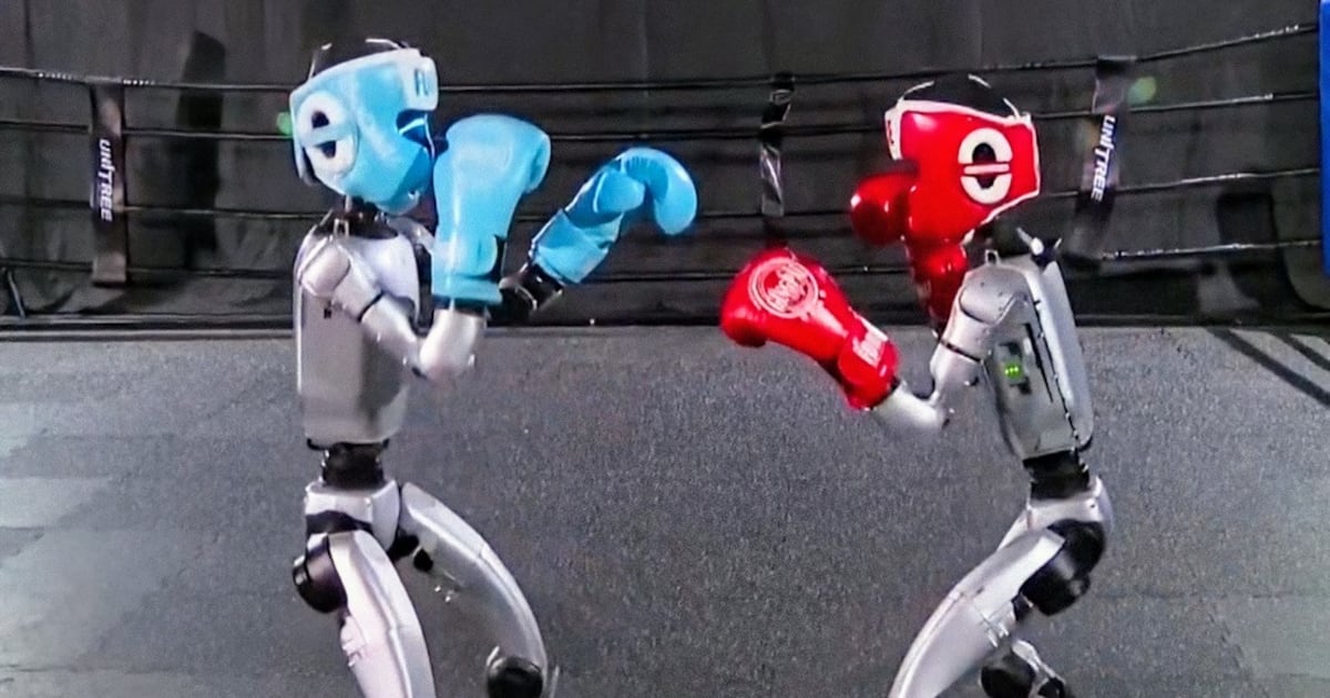 ¡Boxeo de Robots a lo Chino! La Nueva Tendencia que Revoluciona el Entretenimiento Deportivo