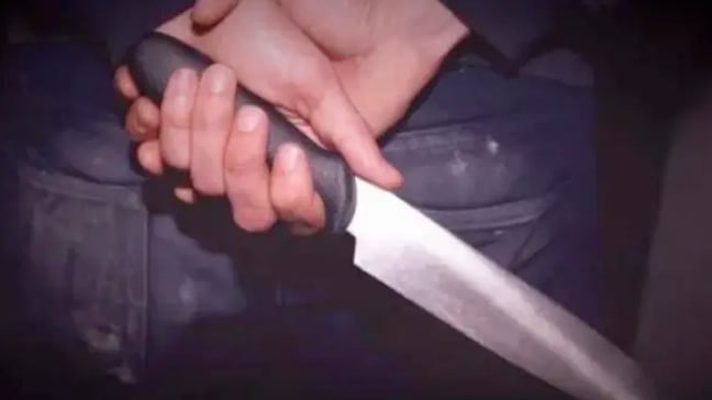 Tras una riña con su cuñado, tomó un cuchillo y le propinó una mortal herida en el abdomen: Fue sentenciado a 10 años de cárcel