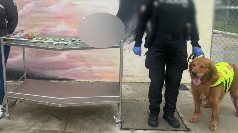 Intentan enviar cocaína desde Quito a España oculta en paquetes de galletas