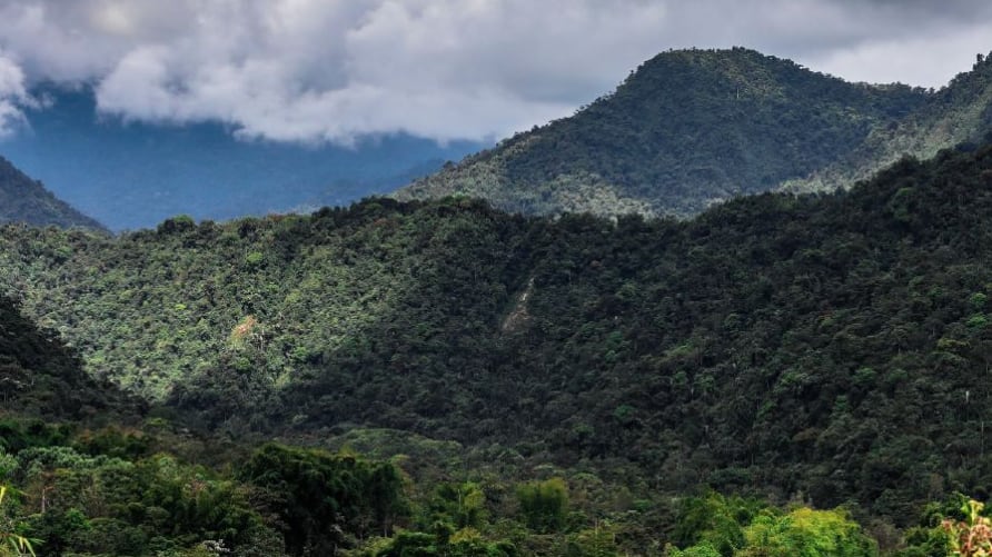 Consulta popular del Chocó Andino en Quito