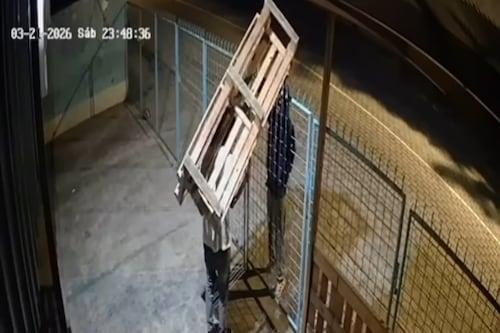 VIDEO: sujetos son captados robando accesorios de una peluquería canina en Capelo