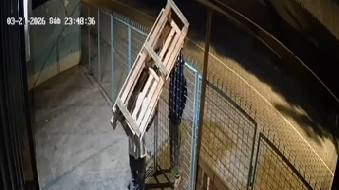 VIDEO: sujetos son captados robando accesorios de una peluquería canina en Capelo