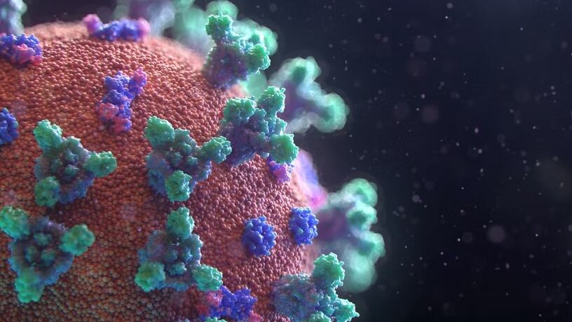 Hay 11 vacunas aprobadas por la OMS