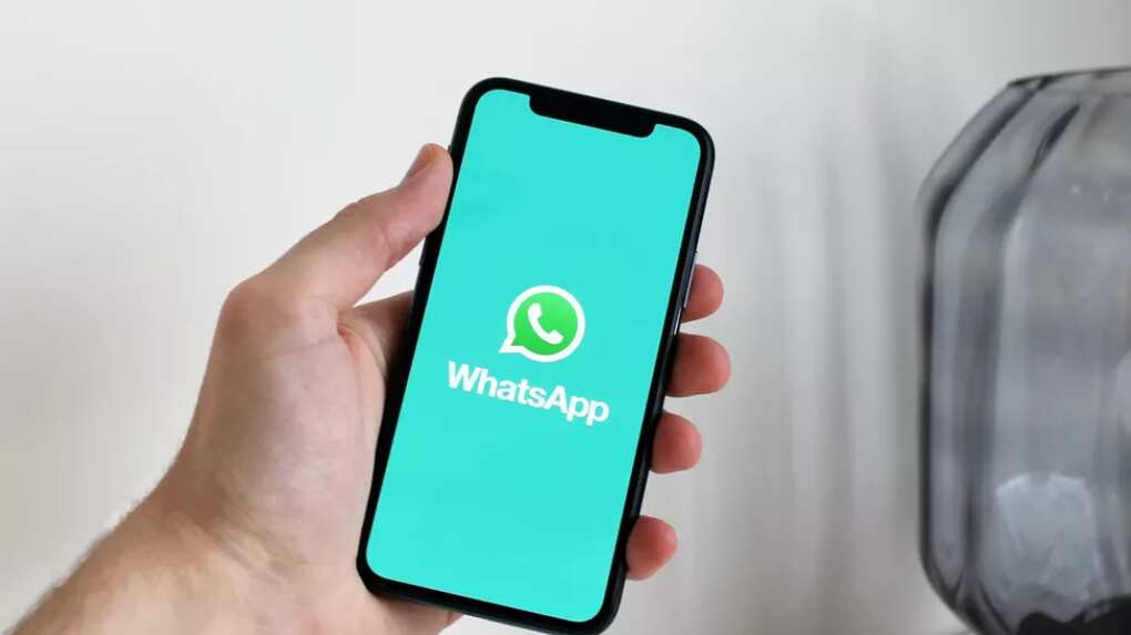 WhatsApp: Esta é a forma de sair de um grupo de forma anônima e sem notificar ninguém