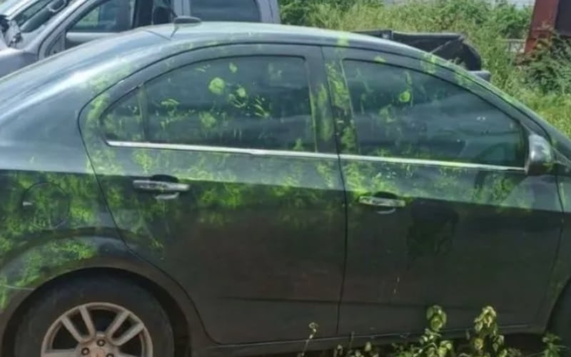 ¿Qué significan las manchas verdes en el carro donde llevaron a Yulixa Toloza?