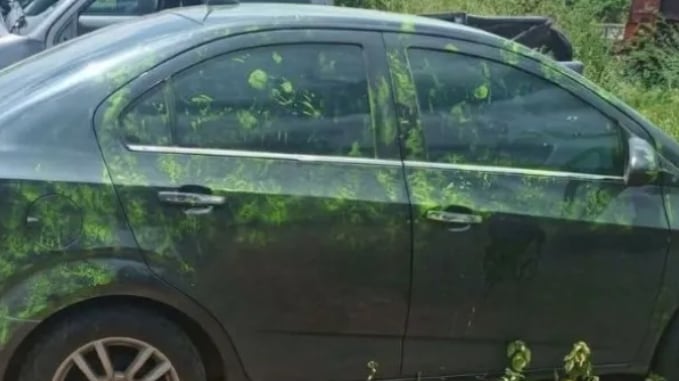 ¿Qué significan las manchas verdes en el carro donde llevaron a Yulixa Toloza?