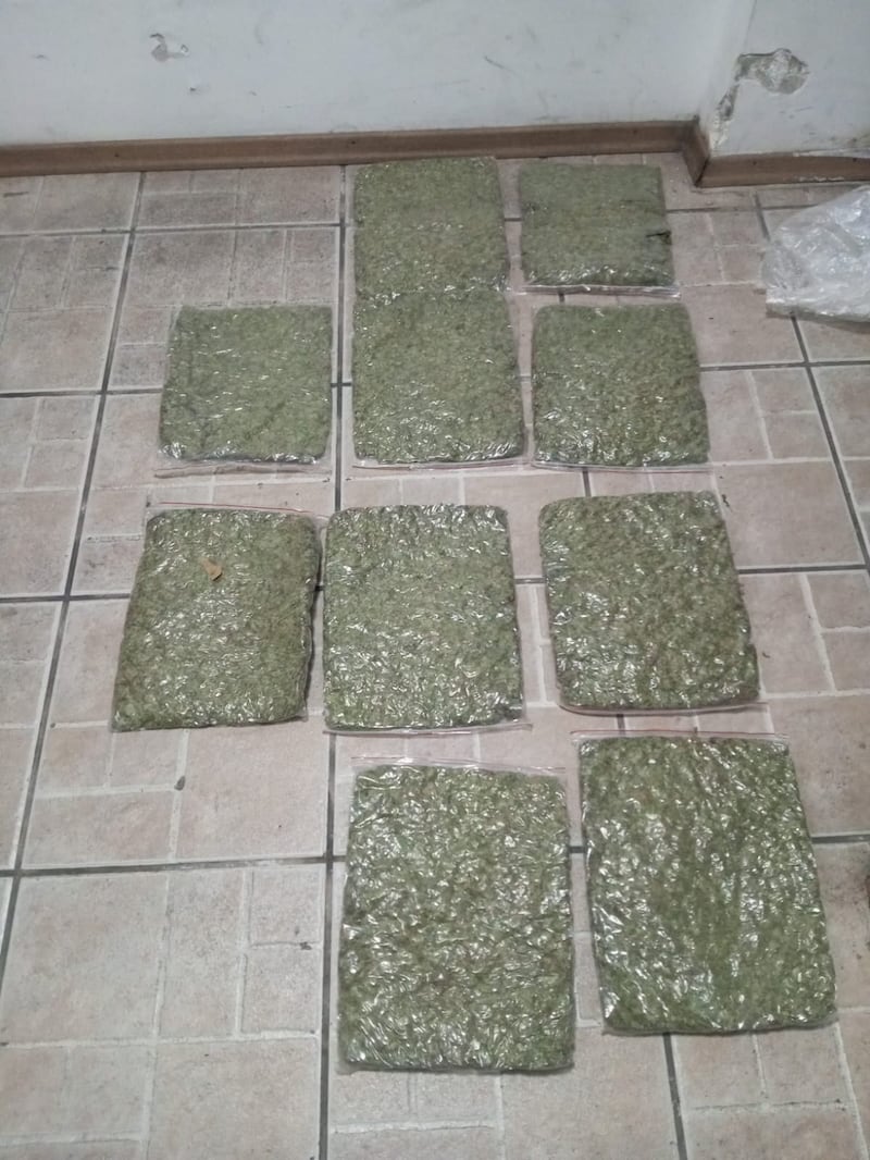 Operación “Hierba Buena”: Policía incauta 134 kilos de marihuana y detiene a tres personas en Calderón