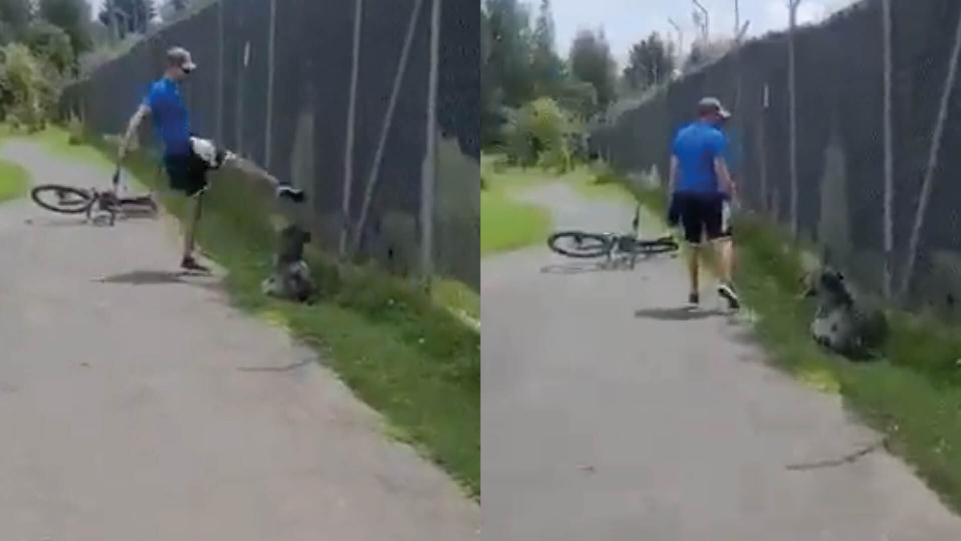 ¡Desalmado! Hombre golpeó brutalmente a un perrito en el parque Bicentenario de Quito; piden encontrar al responsable