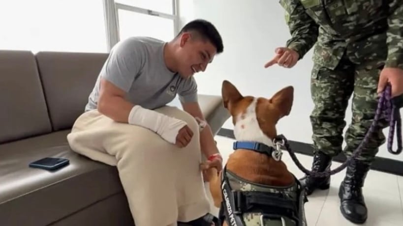 Paco, perrito criollo, brinda apoyo emocional a soldados