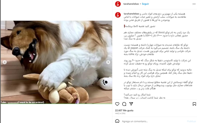 ¿Por qué este japonés gastó más de 10 mil euros en un disfraz para convertirse en perro?