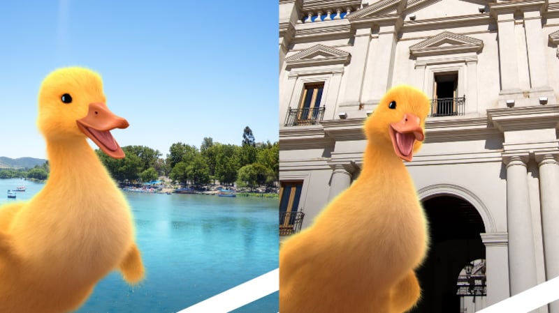 Pato de Banco Estado | Fuente: X @patobancoestado