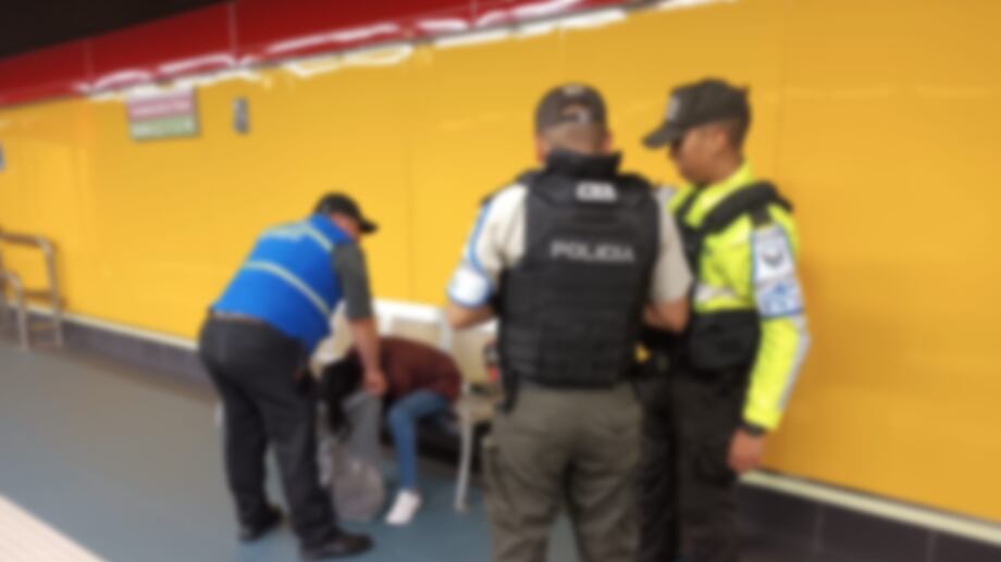 Joven en estado de ebriedad vomitó al interior de uno de los trenes del Metro de Quito.