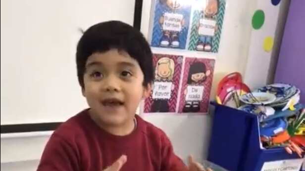 Niño disertó sobre los hipopótamos y encantó las redes.