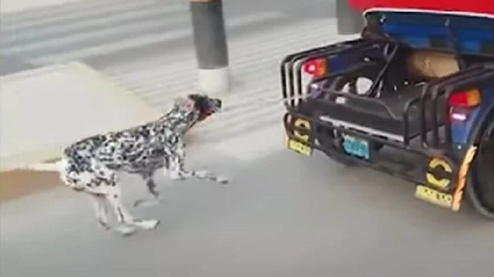 Desalmado: Sujeto encadenó a perro a un “mototaxi” y lo arrastró por las calles en Perú