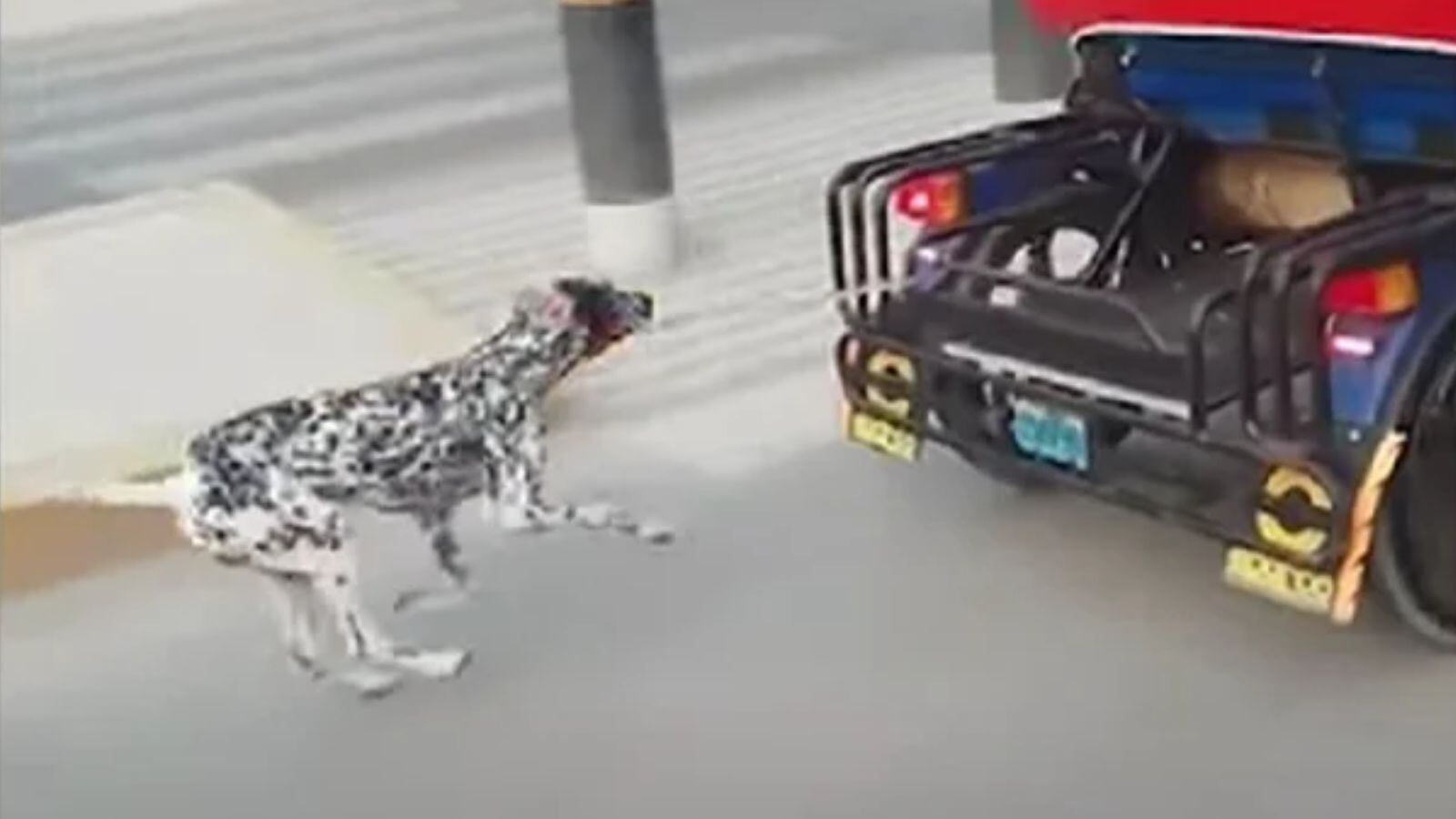 Desalmado: Sujeto encadenó a perro a un “mototaxi” y lo arrastró por las calles en Perú