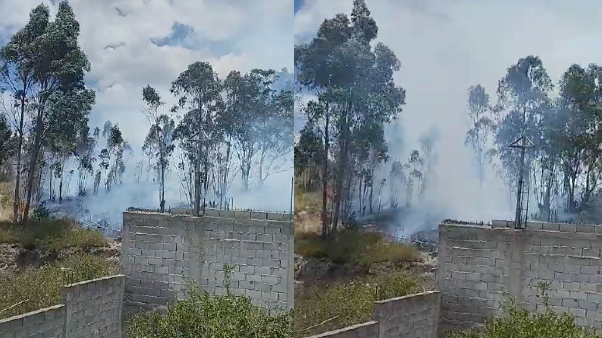 Incendios forestales