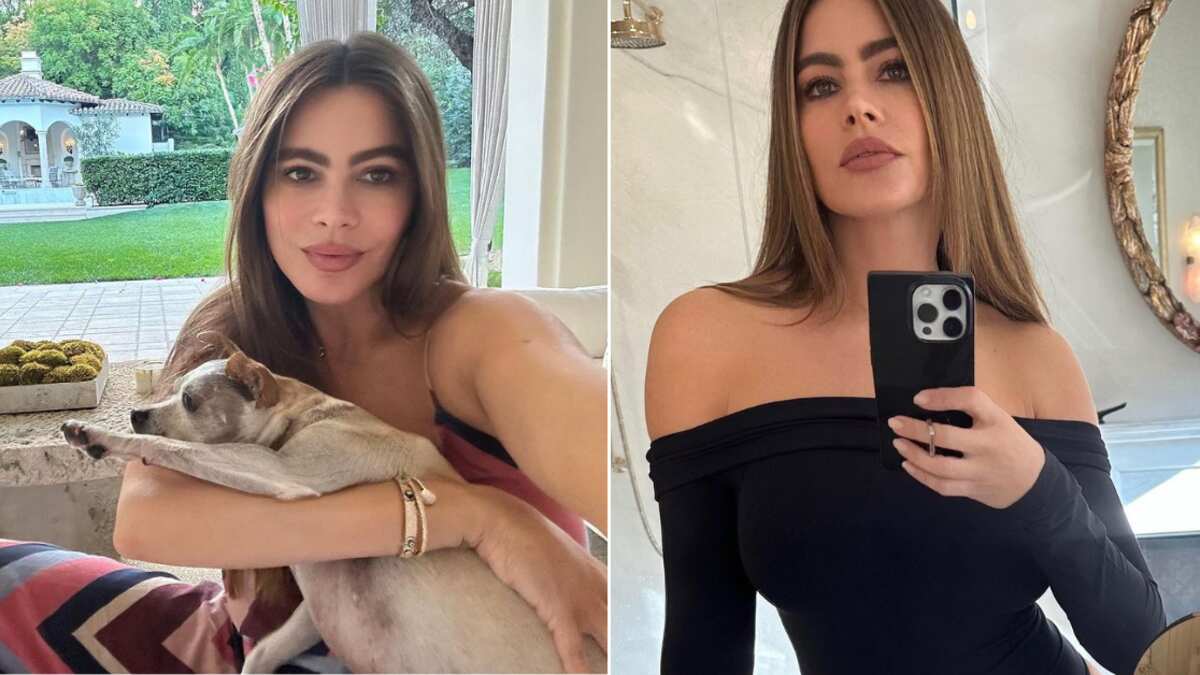 Sofía Vergara estaría enfrentando una millonaria demanda por negarse a pagar a un contratista.