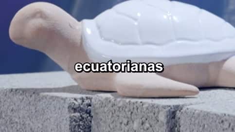 La tortuga de Ecuador se enfrentará a una botella de vidrio (Bolivia)