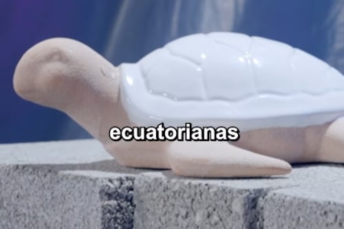 Mundial de Objetos: la tortuga de Ecuador se enfrentará a una botella de vidrio (Bolivia)