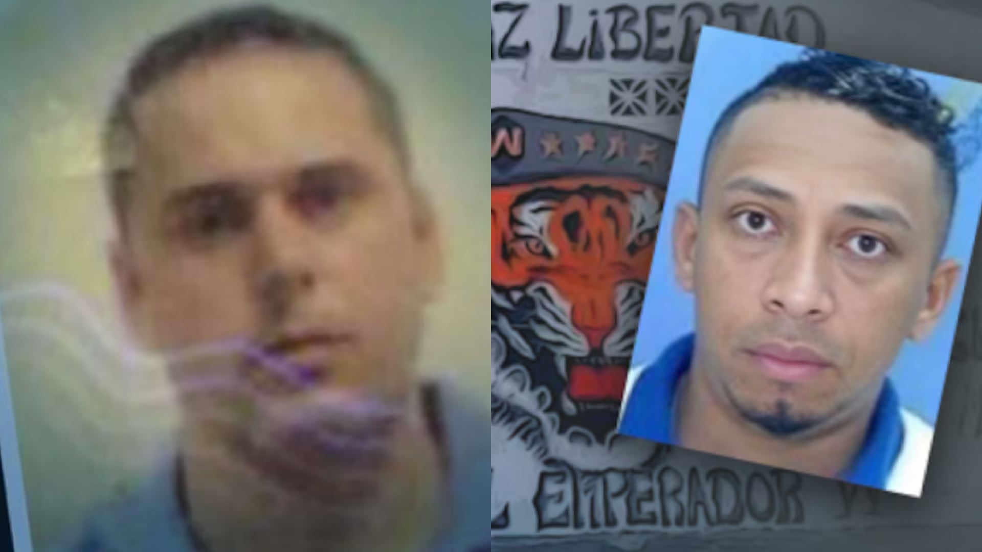 Alias “Willy” y Dritan Gjika: ¿cómo es el proceso para que los capturados sean extraditados y rindan cuentas ante la justicia de Ecuador?