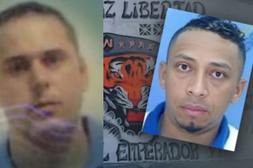 Alias “Willy” y Dritan Gjika: ¿cómo es el proceso para que los capturados sean extraditados y rindan cuentas ante la justicia de Ecuador?