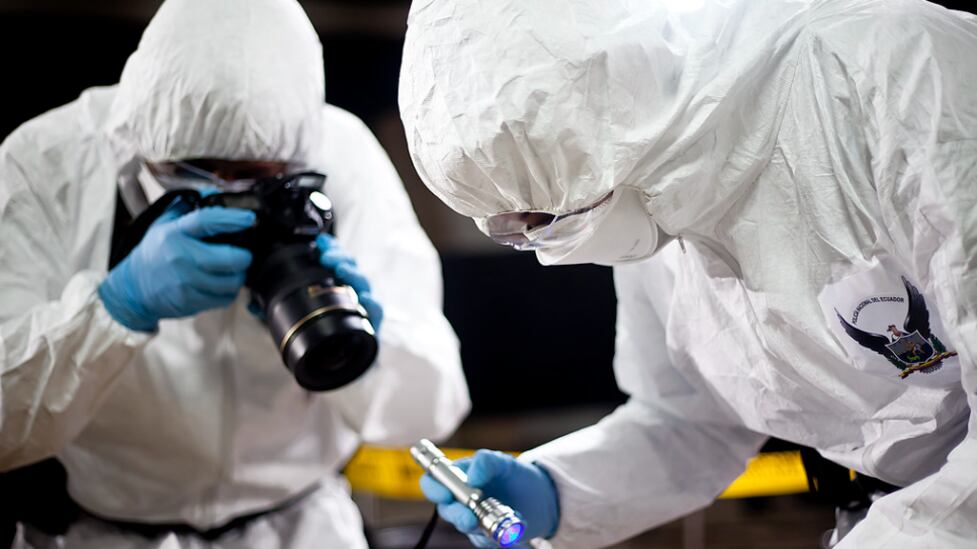 Ocho personas reportadas como desaparecidas fueron halladas sin vida en lo que va de febrero .