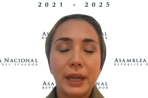 La sanción que recibiría la asambleísta que fingió estar en una sesión virtual