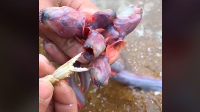 Tiene similitud a villano de Stranger Things