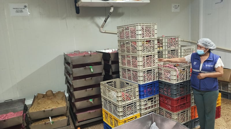 Arcsa Cuenca, clausura planta embutidos, condiciones insalubres alimentos, alerta sanitaria Cuenca.