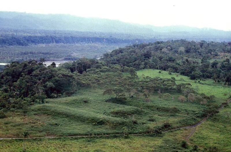 Selva amazónica ecuatoriana