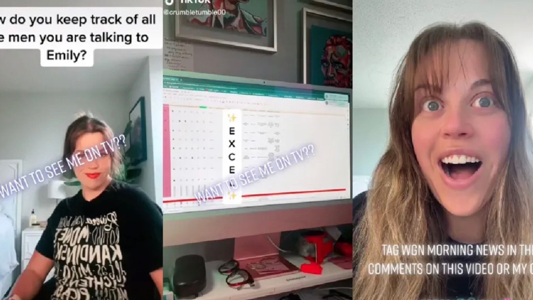 Emily explica con tabla de Excel como clasificar citas.