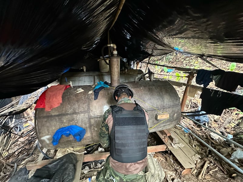 Fuerzas Armadas golpea al ‘narco’ tras quemar laboratorios de droga en la frontera con Colombia.