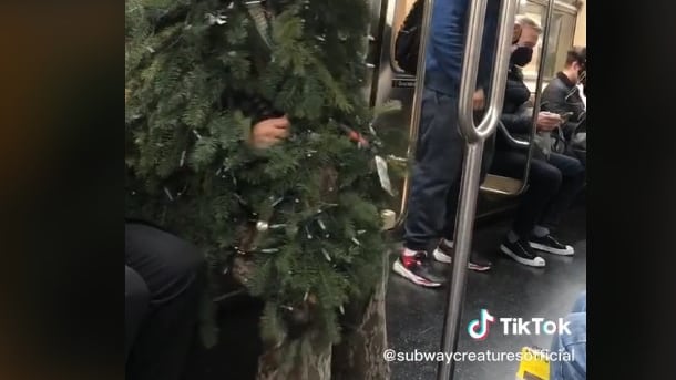 Se disfrazó de árbol de Navidad