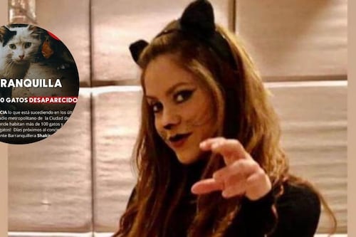 Shakira no adquirió la habilidad de cuidar gatos, y la responsabilizan por la muerte de un centenar de felinos en Colombia.