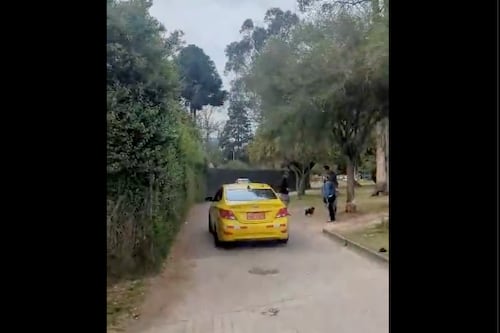 Chofer de taxi invadió el parque La Carolina, norte de Quito