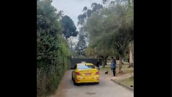 Chofer de taxi invadió el parque La Carolina, norte de Quito