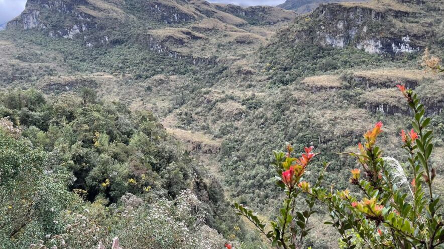 El bosque Machángara – Tomebamba, declarado como área protegida y se incorpora al Sistema Nacional de Áreas Protegidas del Ecuador